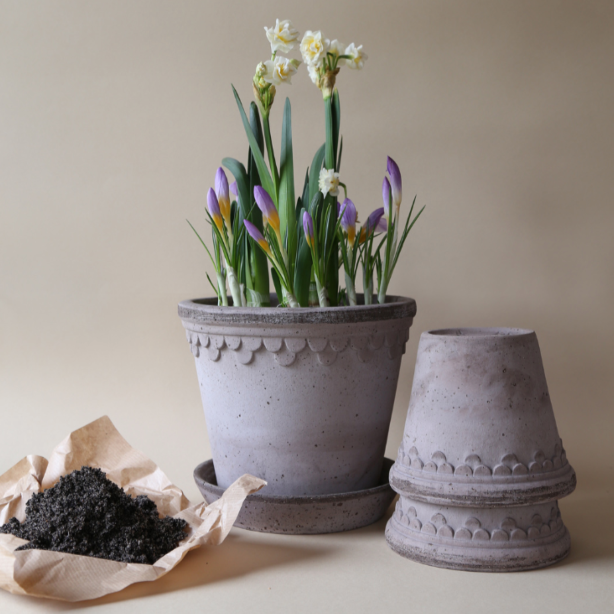 Small Bergs Potter planter with classic scalloped rim, handmade in Italy from premium ceramic clay, finished in soft Pearl Grey glaze with matching plate.