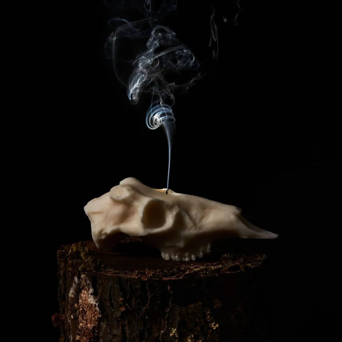Hand-poured Deer Skull Soy Wax Candle with rustic charm.
