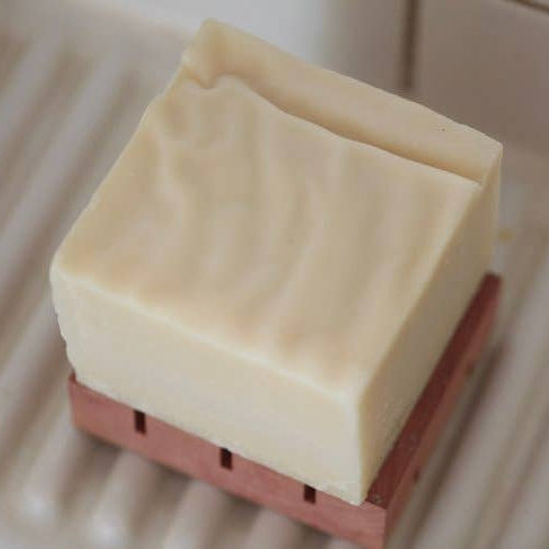 dish bar soap dish detergent.