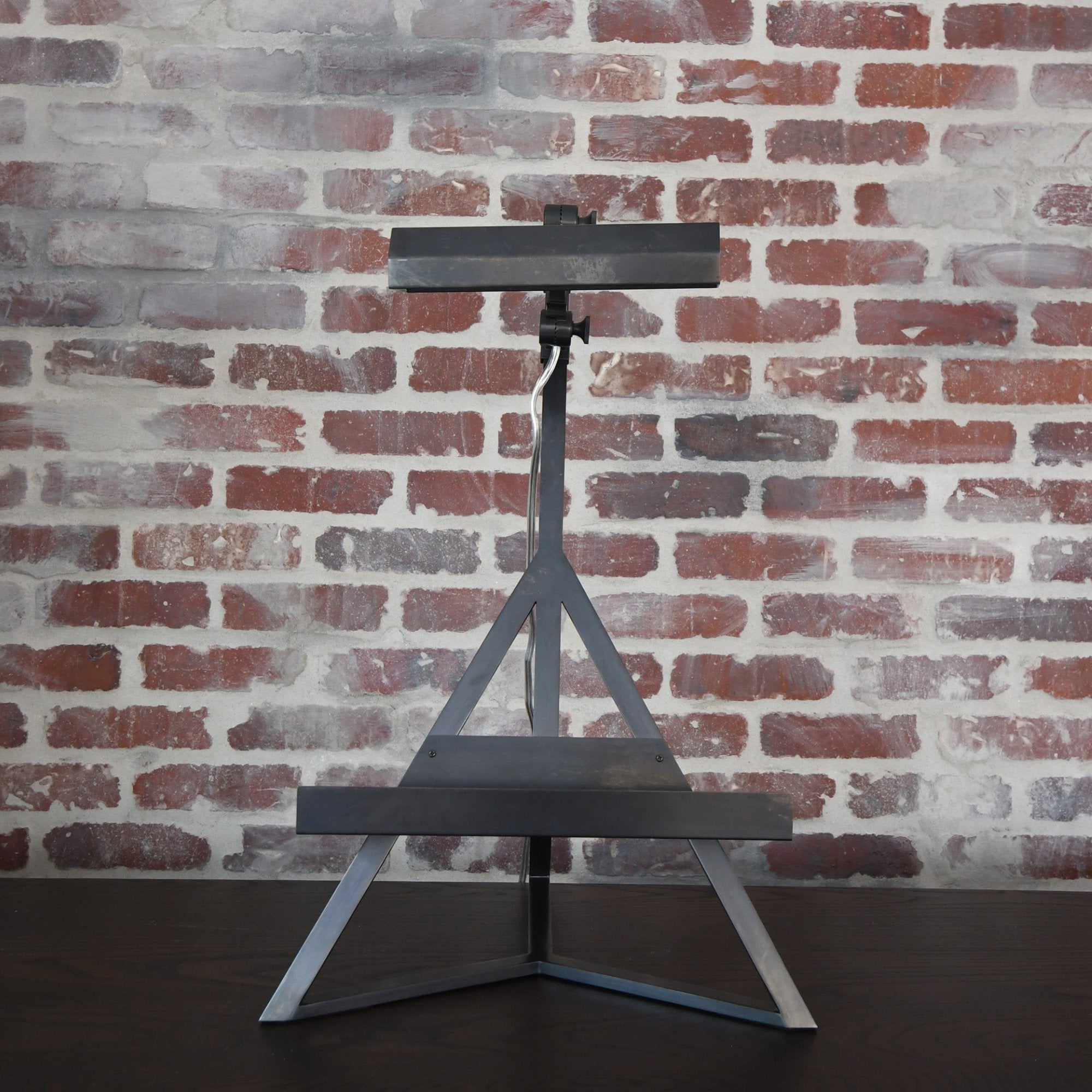 Estelle Display Picture Lamp β Elegant art lighting fixture