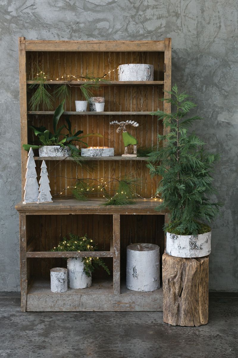 White Birch Decorative Bowl - Shoppe Details and Design.