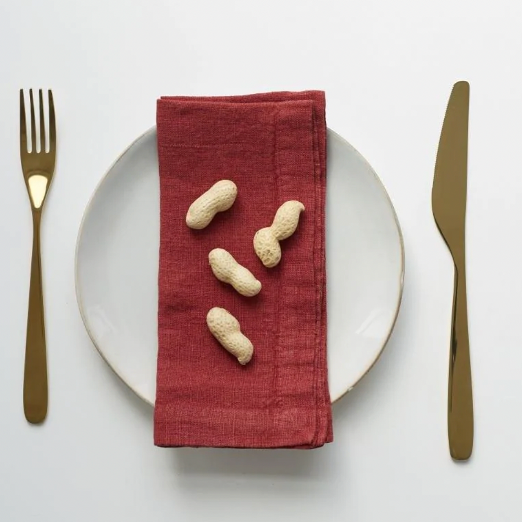 Cranberry Linen Napkins Set - Shoppe Details and Design.