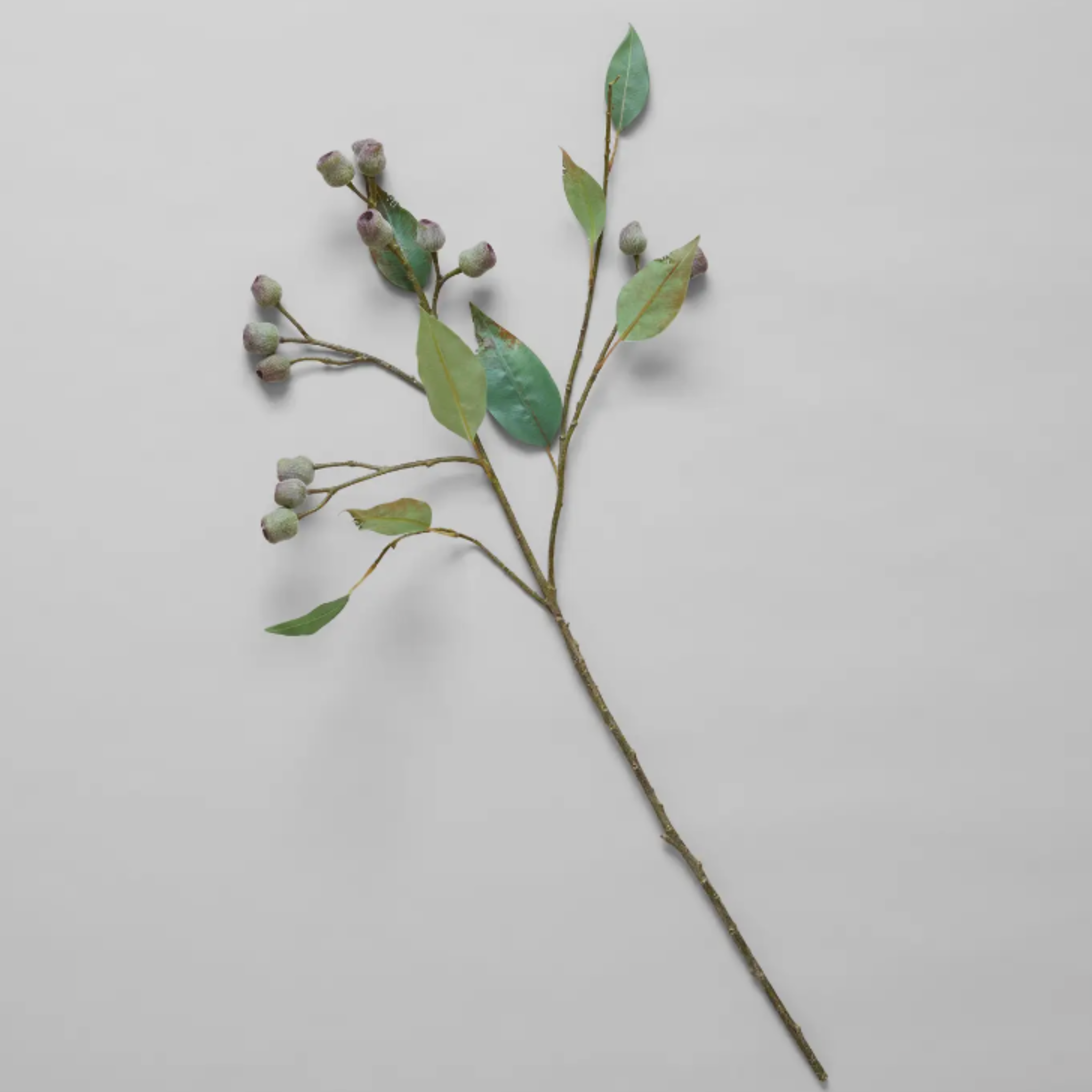 faux eucalyptus pod branch.