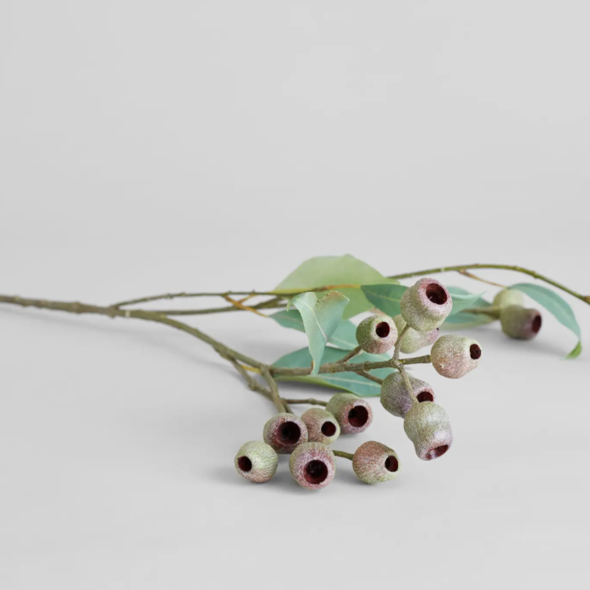 faux eucalyptus pod branch.