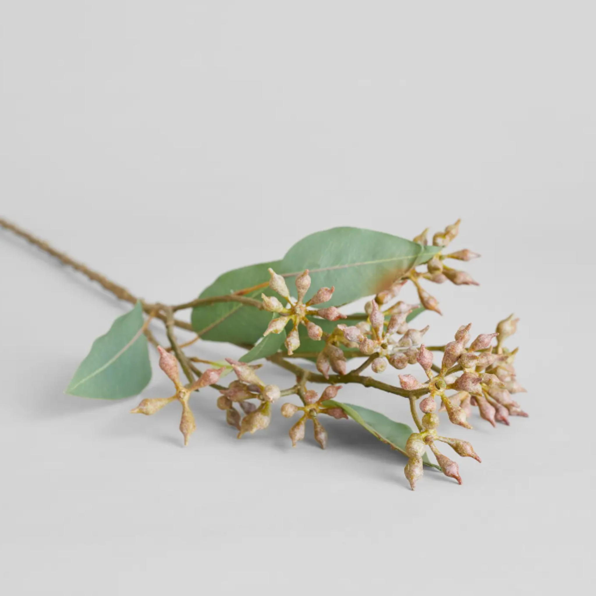 faux eucalyptus seed branch.