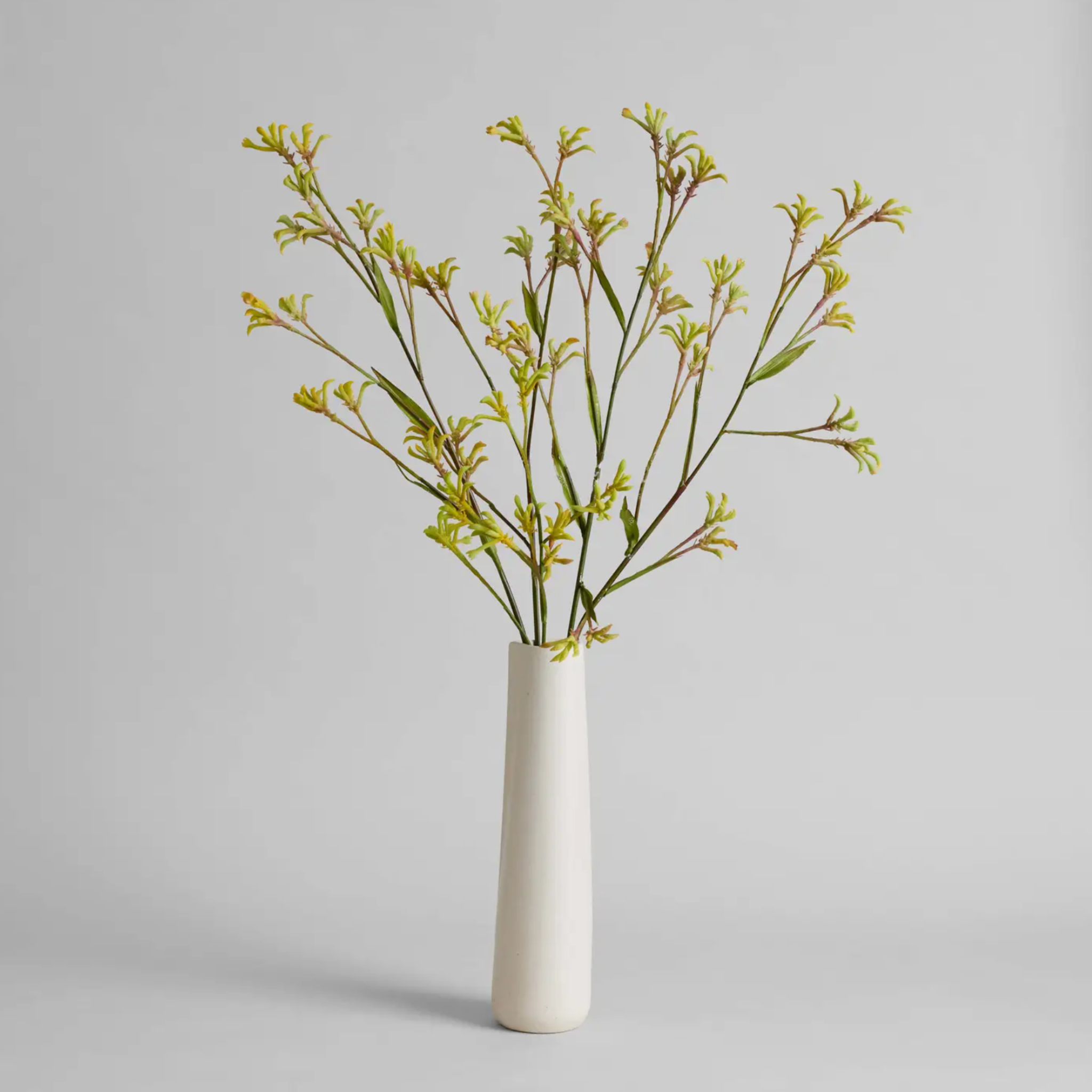 faux kangaroo paw stem.