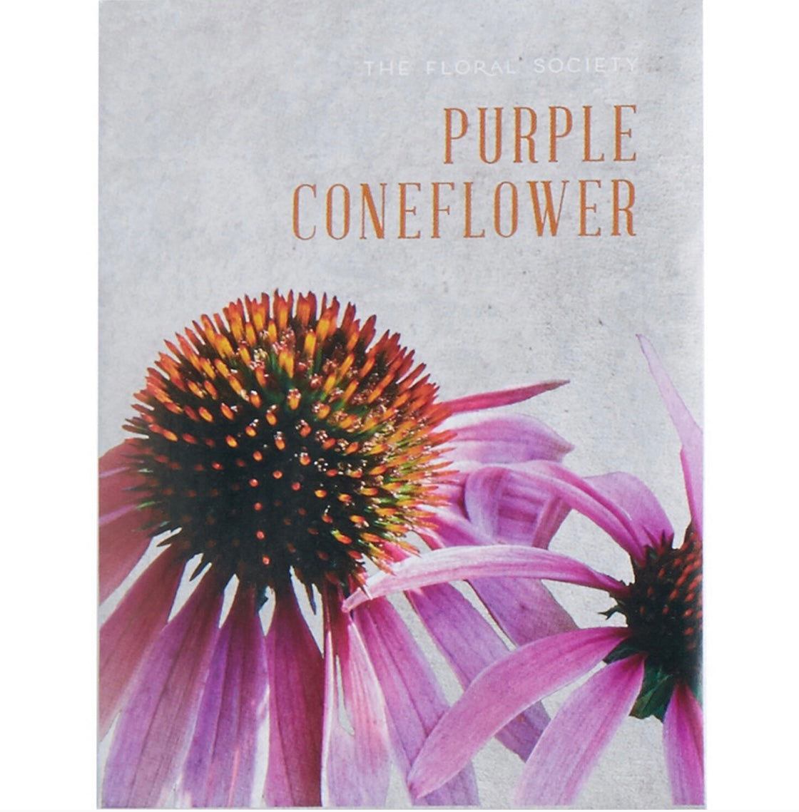 The Floral Society - Purple Coneflower Seeds - Shoppe Details and Design.