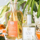 Orange Blossom by Antica Farmacista - 500ml Diffuser | Antica Farmacista Orange Blossom - 500ml Reed Diffuser - Shoppe Details and Design