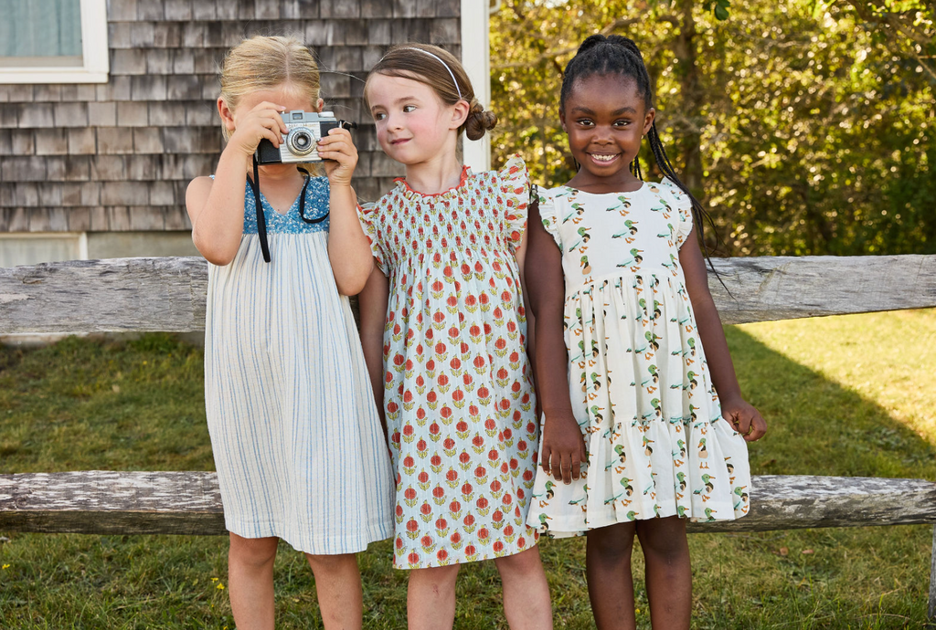 Pink Chicken Riviera Stripe Courtney Dress