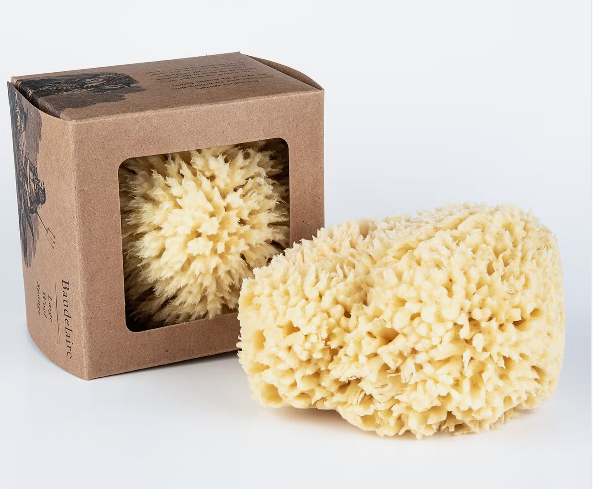 Baudelaire- Bath Sea Sponge Gift Box- Large 5.5" - Shoppe Details and Design