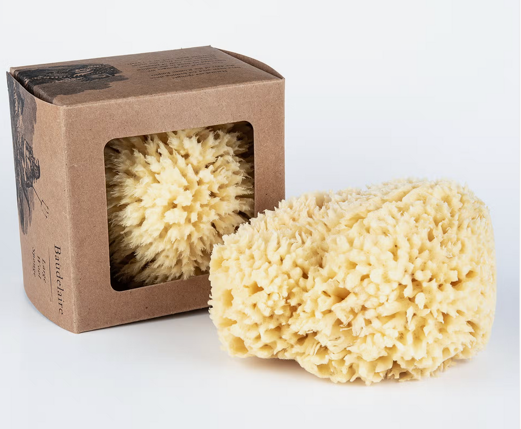 Baudelaire Natural Wool Boxed Sea Sponge