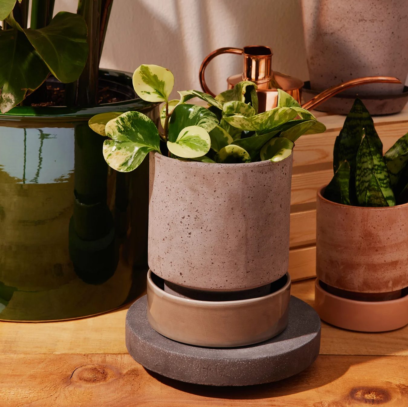 dark stone plant trolley