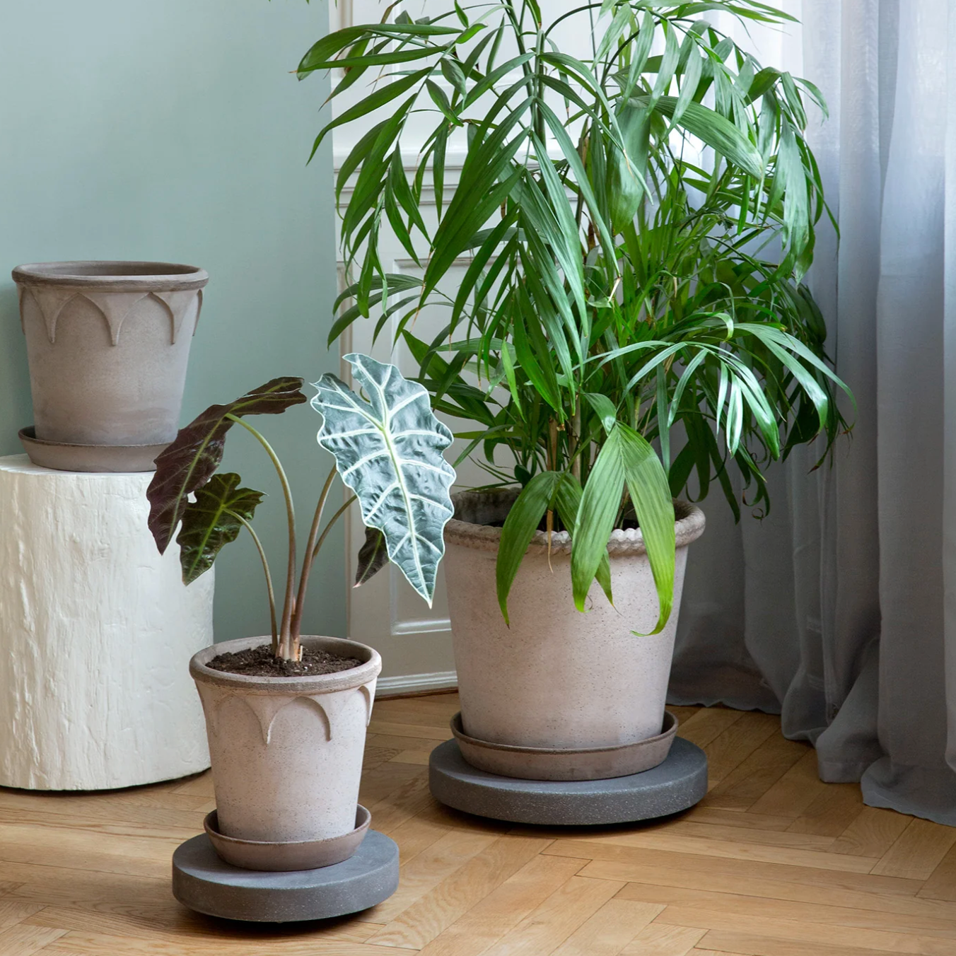 dark stone plant trolley