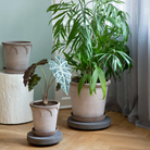 dark stone plant trolley