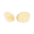 Baudelaire - Silk Facial Sponge - Shoppe Details and Design