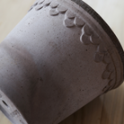 bergs potter planter with plate.