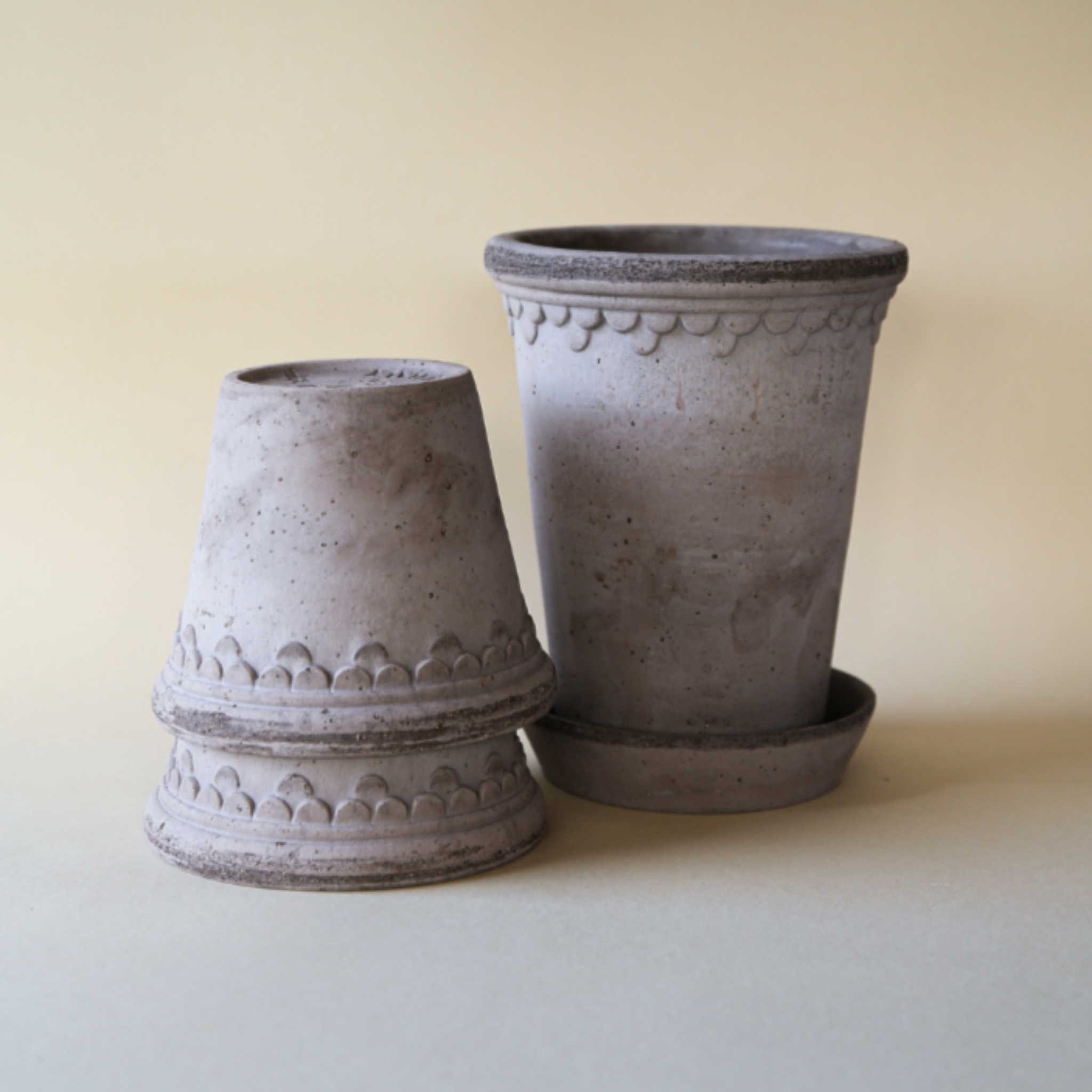bergs potter planter with plate.