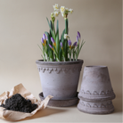 bergs potter planter with plate.
