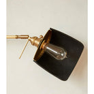 Designer Ava Wall Sconce in black walnut, brass, and leather finish