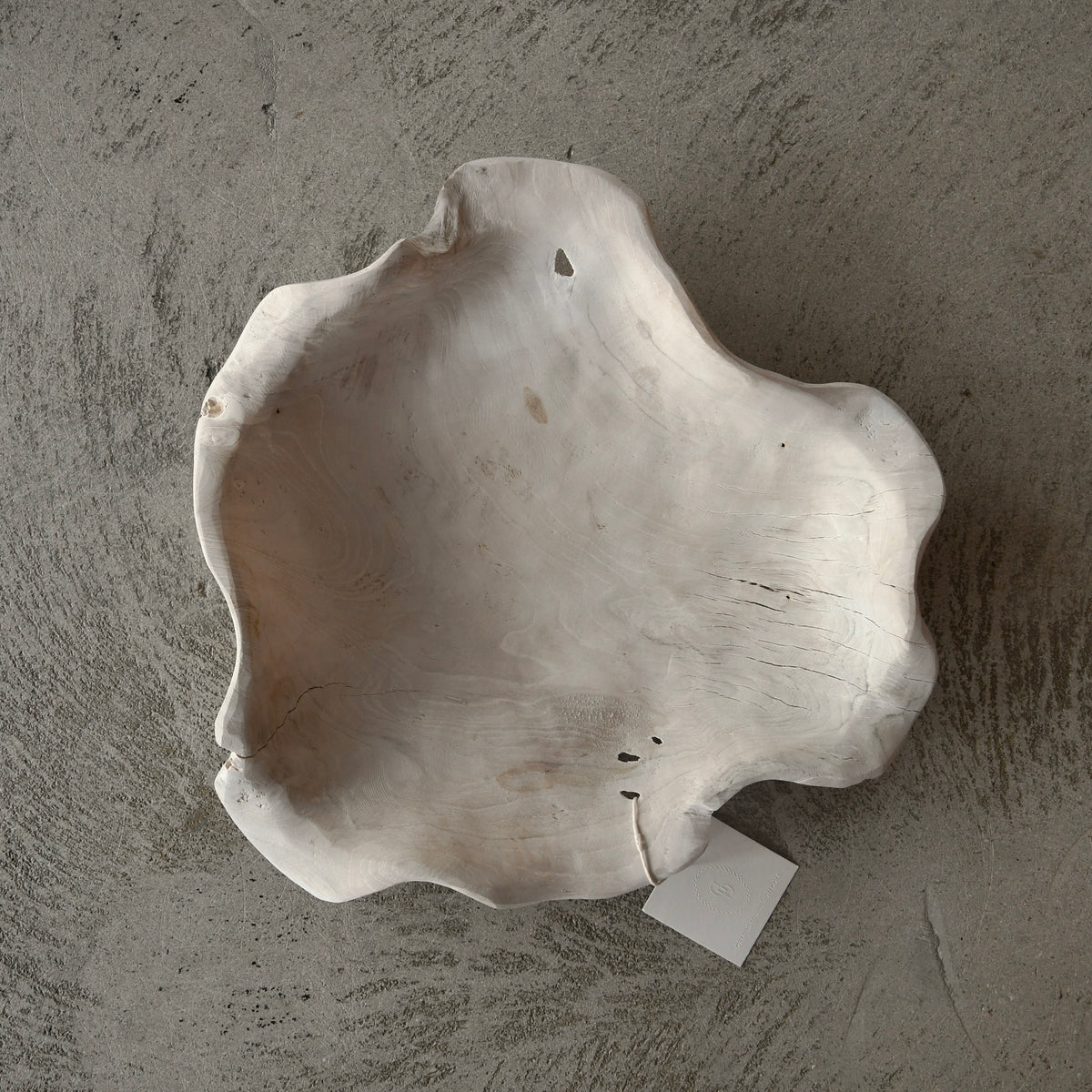 A handcrafted organic-shaped bleached teak bowl with a wavy, irregular edge, photographed from above on a textured gray concrete surface.