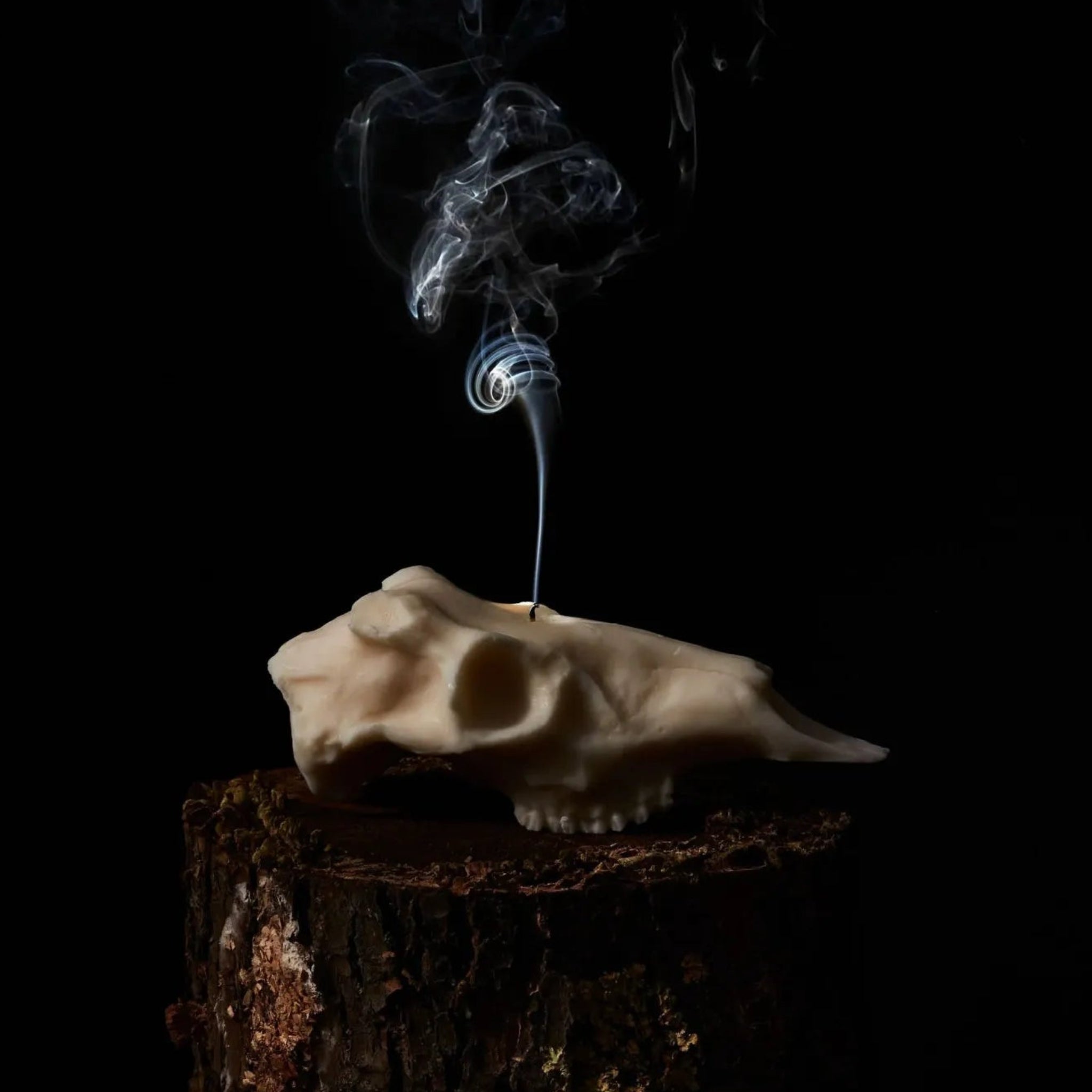Hand-poured Deer Skull Soy Wax Candle with rustic charm.