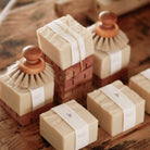 dish bar soap dish detergent.