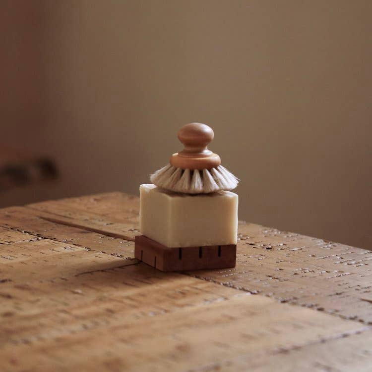 dish bar soap dish detergent.