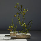 faux kangaroo paw stem.