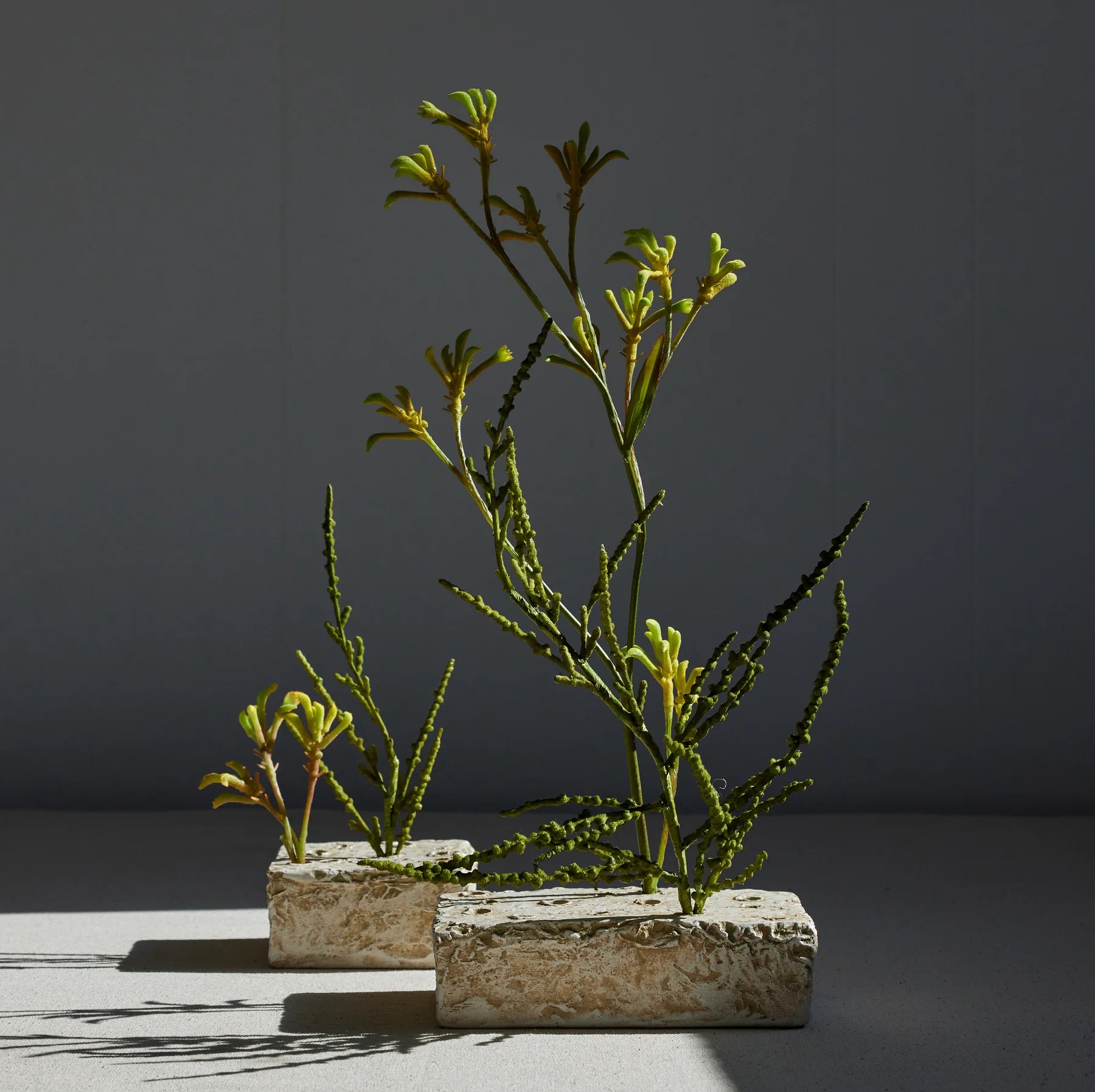 faux kangaroo paw stem.