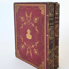 Portrait Gallery, Set of 2 Antique Books - Details and Design - Books - Details and Design