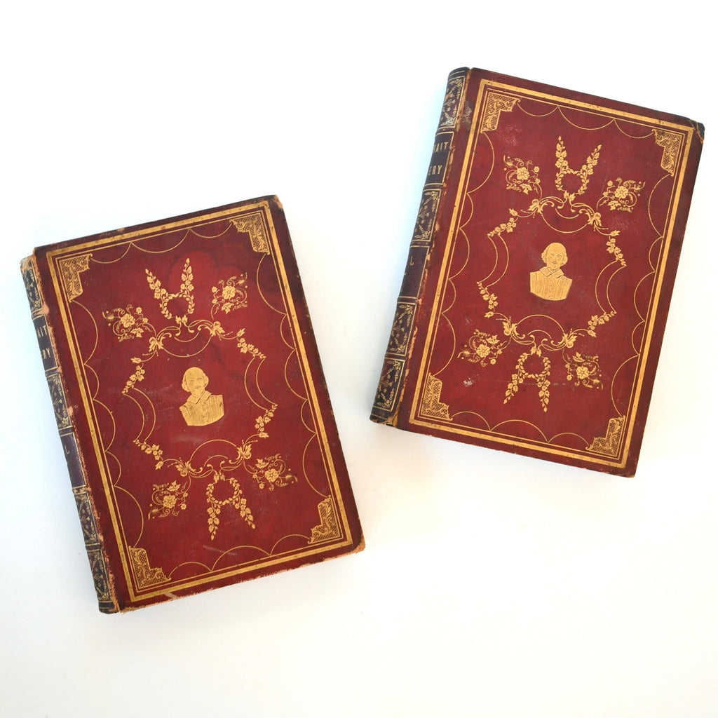 Portrait Gallery, Set of 2 Antique Books - Details and Design - Books - Details and Design