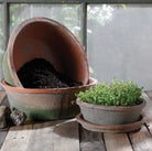 Rustic Terra Cotta Bulb Pot- Antique Red - Shoppe Details and Design