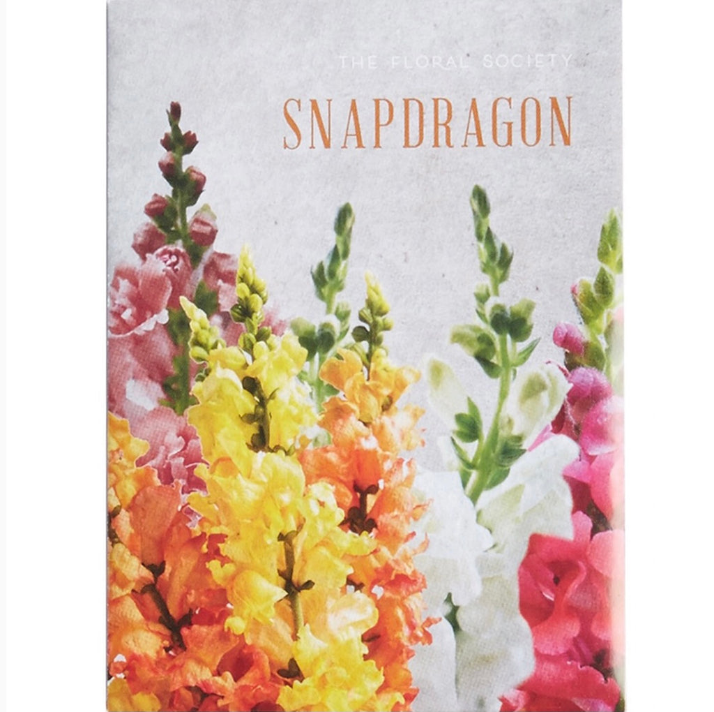 Snapdragon seed pack yellow pink salmon colors