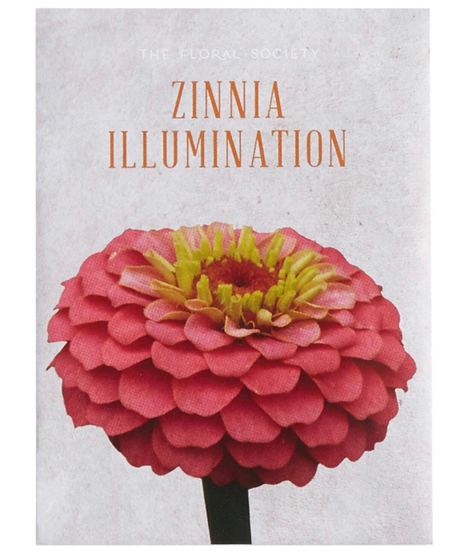 The Floral Society - Zinnia Illumination Seeds - Shoppe Details and Design