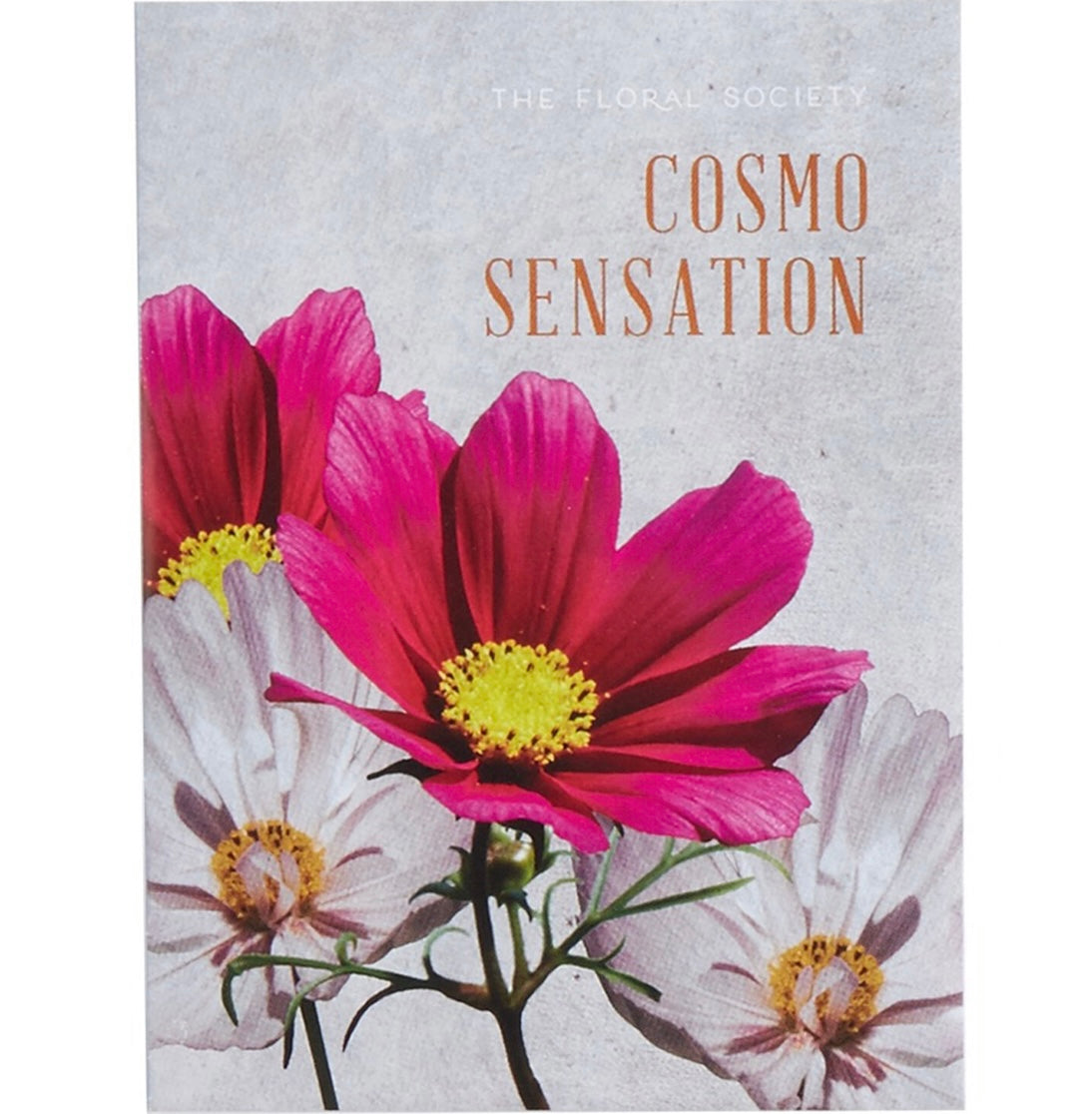 The Floral Society - Cosmo Sensation Seeds - Shoppe Details and Design