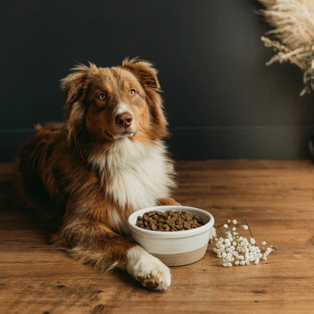 Farmhouse Pottery - Dog Food Bowl - Shoppe Details and Design