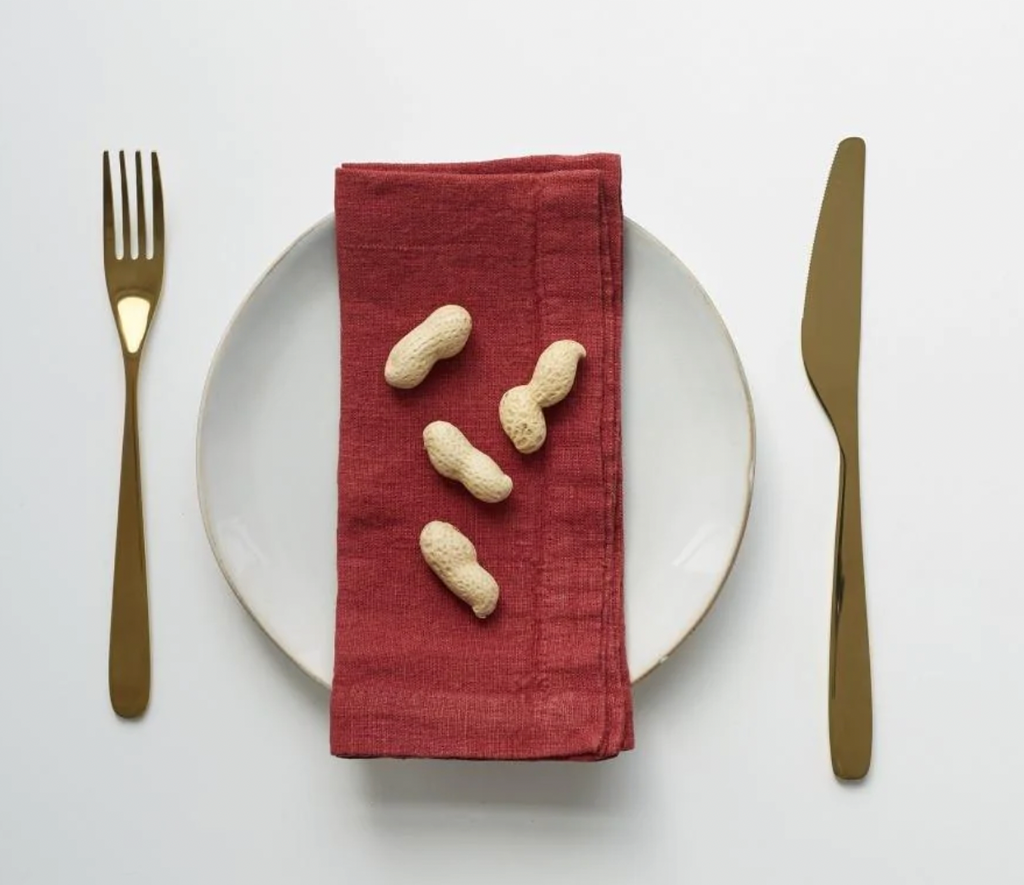 Linen Tales - Set of 2 Napkins in Cranberry