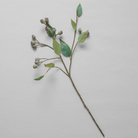 Faux Eucalyptus Pod Branch - Shoppe Details and Design