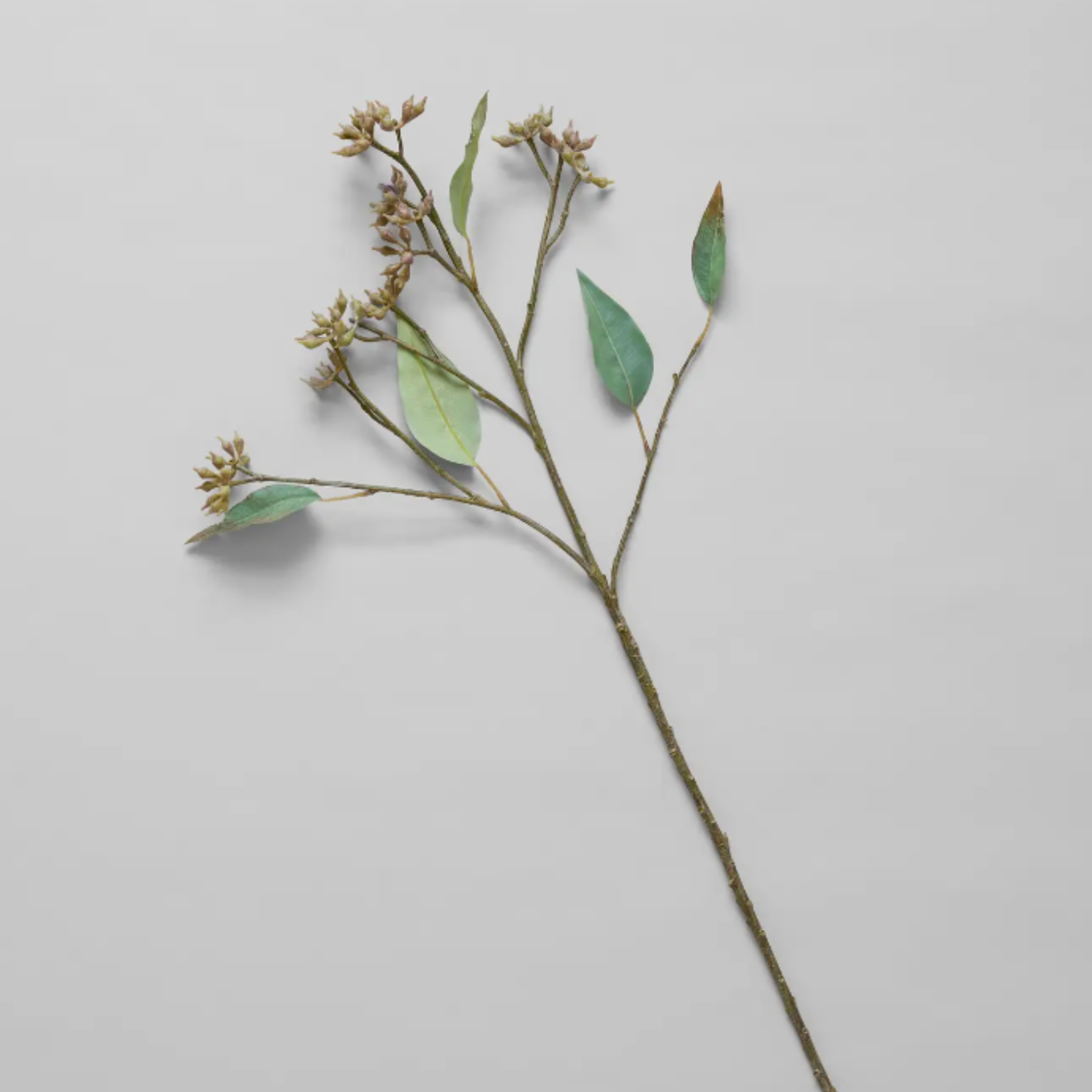 Faux Eucalyptus Seed Branch - Shoppe Details and Design