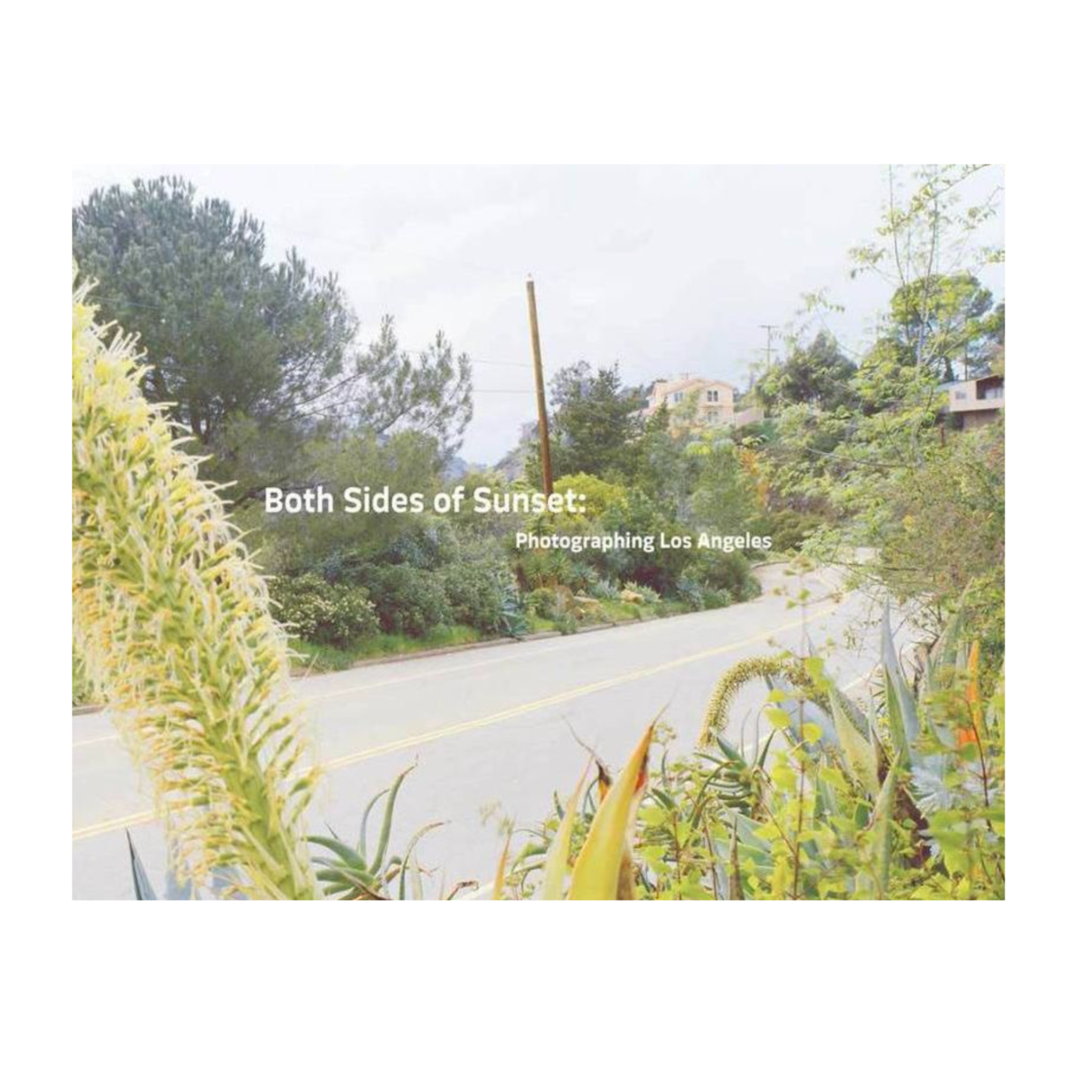Both Sides of Sunset: Photographing Los Angeles coffee table book.