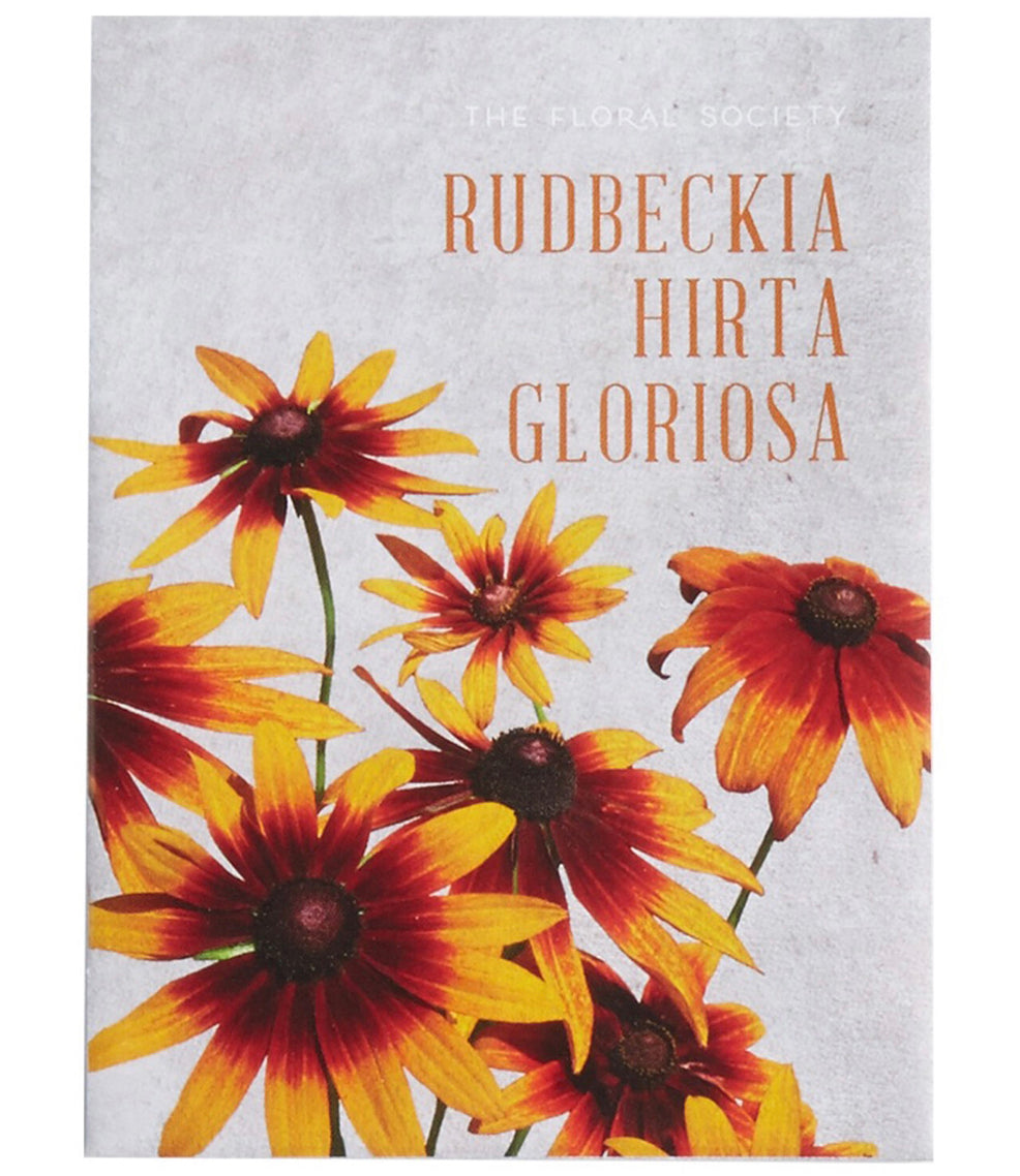 The Floral Society - Rudbeckia Hirta Gloriosa Seeds - Shoppe Details and Design.