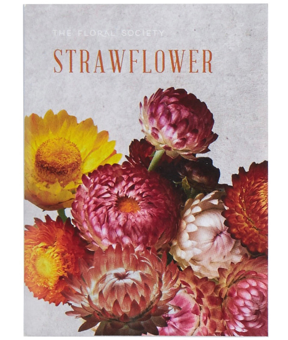 The Floral Society - Strawflower Seeds - Shoppe Details and Design.