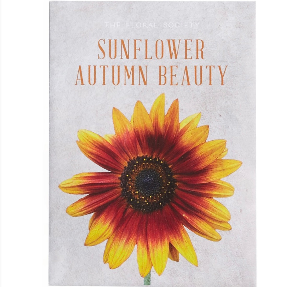 The Floral Society - Sunflower Autumn Beauty Seeds - Shoppe Details and Design.